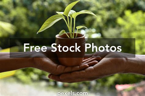 Oxygen Plant Photos, Download The BEST Free Oxygen Plant Stock Photos ...