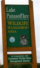 LAKE PANASOFFKEE Wildlife Management Area - The Great Florida Birding ...