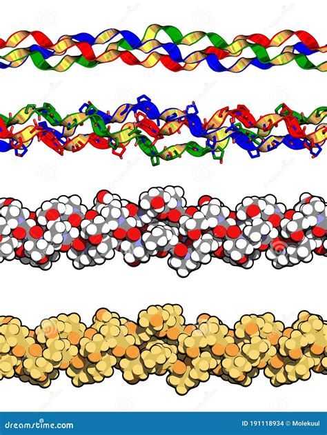 Collagen Model Protein, Chemical Structure. Essential Component of Skin ...