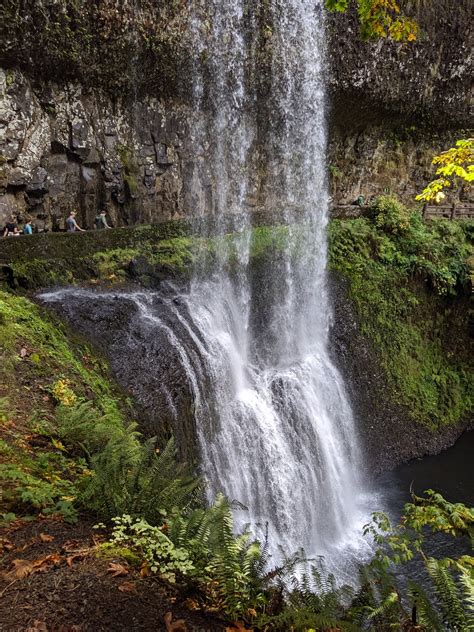 Silver Falls State Park - Go Wandering