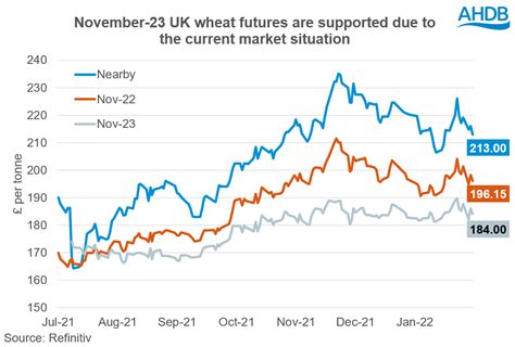 Opportunity to market 2023 wheat? | The Farming Forum