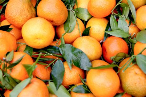 Orange Fruit Symbolism (Top 7 Meanings) - Give Me History