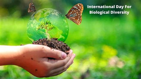 International Day for Biological Diversity 2022: 22 May