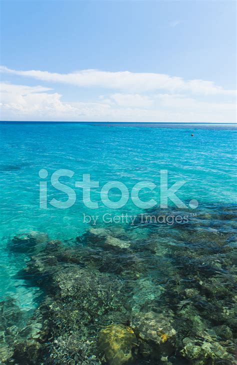 Sunny Landscape Stock Photo | Royalty-Free | FreeImages