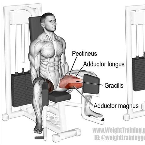 Hip Abduction And Adduction Exercises