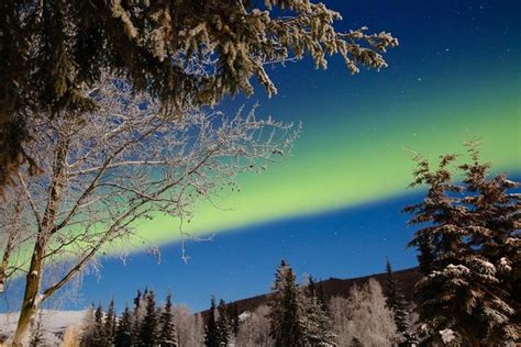 Chena Hot Springs Aurora Tour from Fairbanks 2024