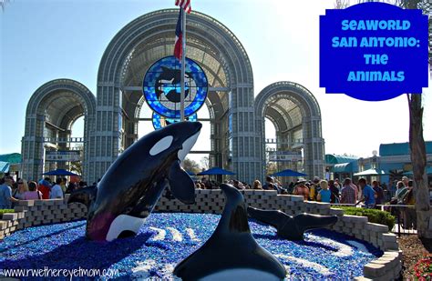 SeaWorld San Antonio ~ The Animals - R We There Yet Mom?