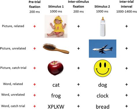 Example stimuli and timeline for the semantic priming task, in which ...