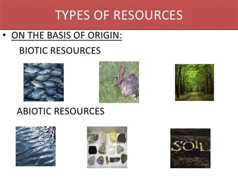 Resources and their Development ( Class X Geography)