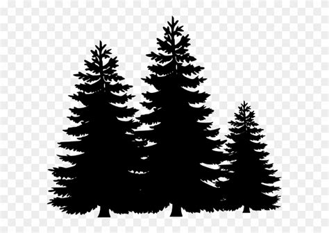 Evergreen Tree Clip Art Black And White - Image to u