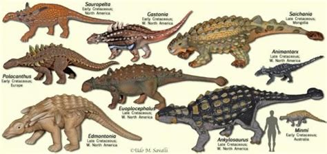 Armoured dinosaurs (Thyreophora). | Animali e animali da compagnia, Animali