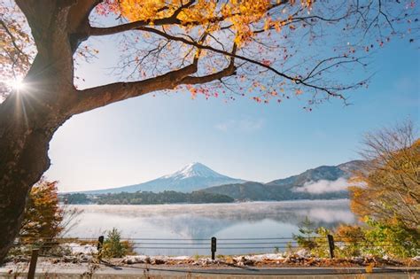 Premium Photo | Autumn season and mountain fuji with evening light and red leaves at lake ...