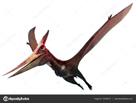 Pteranodon 3D illustration — Stock Photo © warpaintcobra #133746174