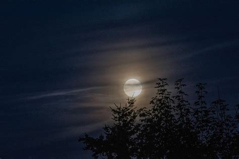 HD wallpaper: moon on sky photography, silhouette of trees at night ...