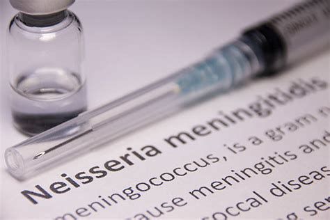 Neisseria Meningitidis - Zdjęcia i ilustracje - iStock