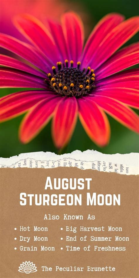 Sturgeon Moon Spiritual Meaning, Symbolism, and Rituals - | Sturgeon moon, New moon rituals ...