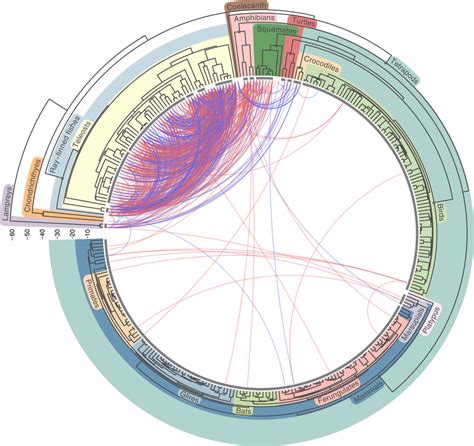 Horizontal transfer of transposable elements among vertebrates The... | Download Scientific Diagram