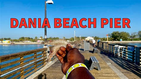 DANIA BEACH PIER Fishing - YouTube