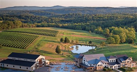 Northern Virginia's vineyards shine