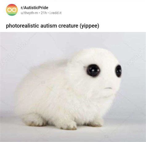 yippee | /r/okbuddyretard | TBH / Autism Creature / Yippee | Know Your Meme