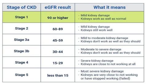 The Complexities of Chronic Kidney Disease and Its Stages