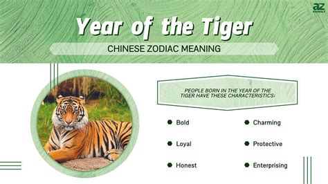 Year of the Tiger: Chinese Zodiac Meaning and Years - A-Z Animals