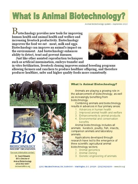 Animal biotechnology.pdf | Biotechnology | Cloning