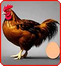 Proverbs - Chicken and egg question