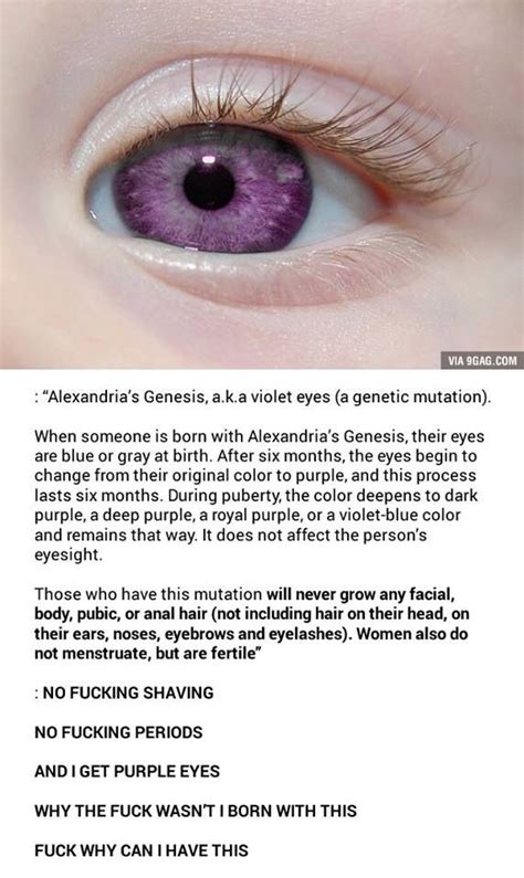 Cool genetics | Violet eyes, Alexandria genesis, Wtf fun facts