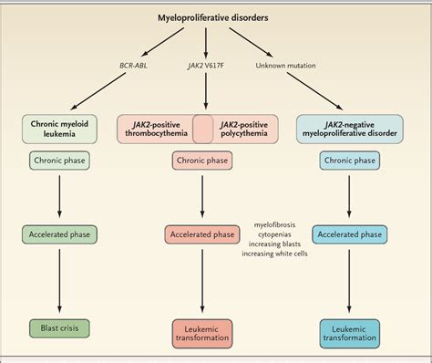 Figure 3 from Mechanisms of Disease The Myeloproliferative Disorders | Semantic Scholar