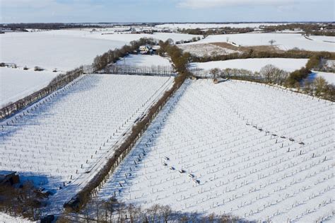 Gallery — Valley Farm Vineyards