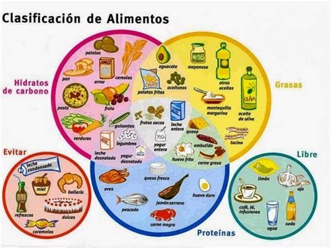 Olor a la canela: CLASIFICACIÓN DE LOS ALIMENTOS