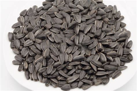 Sunflower black seeds. stock image. Image of heap, closeup - 112723961