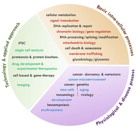 Specific Topics | Department of Cell Biology | Albert Einstein College ...