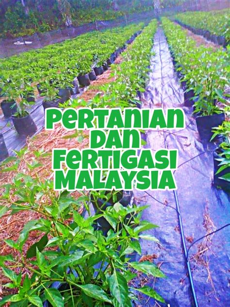 Pertanian dan Fertigasi Malaysia