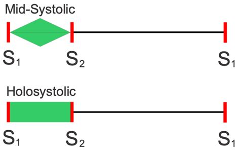 CV Physiology | Systolic and Diastolic Murmurs