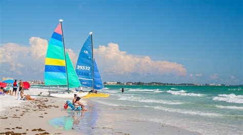 Siesta Key Beach - Tours and Activities | Expedia