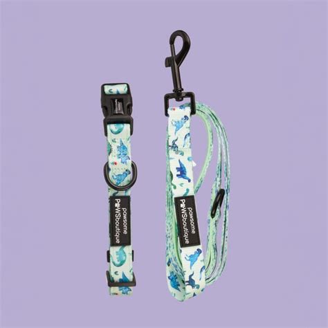 Dinky Dino Dog Collar and Lead Set | Dunelm