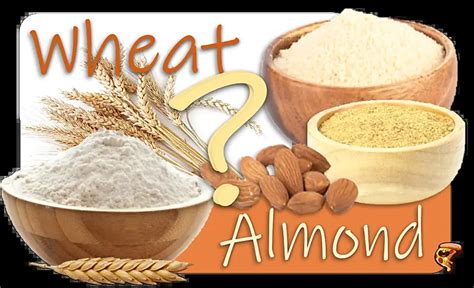 Choosing the Right Flour: Almond Flour vs Wheat Flour - For The Love Of ...