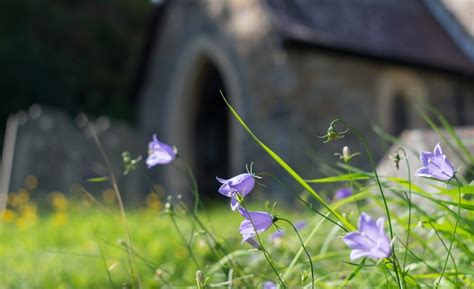 Church in Wales publishes net-zero guide