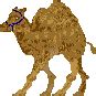 Camel | RuneScape Classic Wiki | Fandom