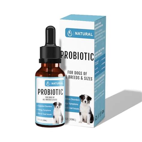 I Tested the Top 5 Best Liquid Probiotics for Dogs - Here's What Really ...