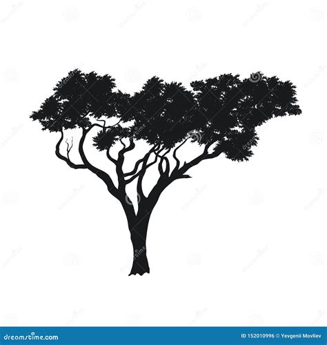 Black Silhouette of African Tree. Isolated Image of Savannah Nature. Forest Landscape of Africa ...