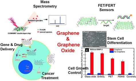 Biomedical applications of graphene and graphene oxide ( Reproduced... | Download Scientific Diagram