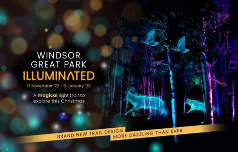 Windsor Great Park Illuminations 2024 Tickets - Nora Thelma