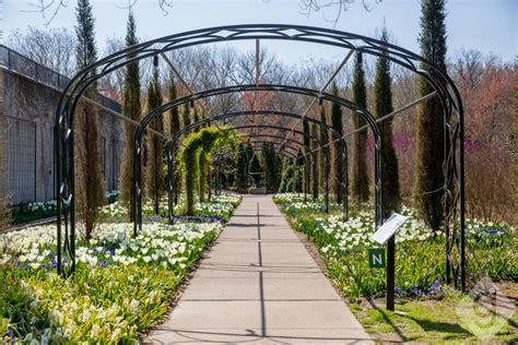 Fun Things To Do: Cheekwood Estate and Gardens | Nashville Guru