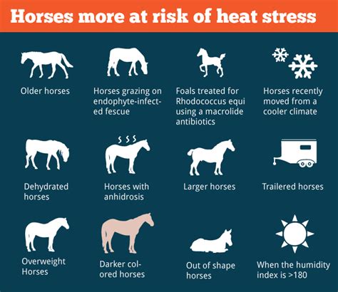 Heat Stress | HorseDVM Diseases A-Z