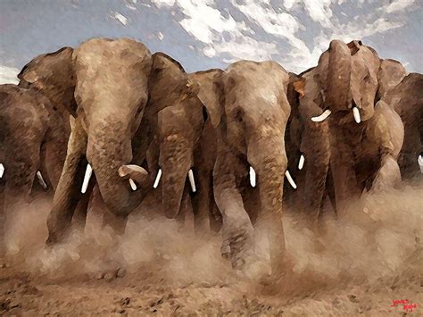 Elephant Stampede | jackbigbox | Flickr