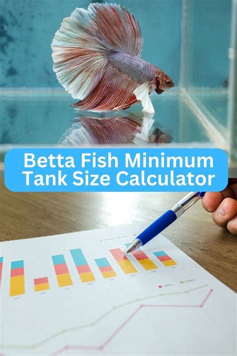 Betta Fish Tank Size Calculator