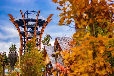 5 Reasons to Visit Gatlinburg This Fall